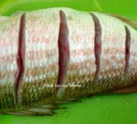 20200223 Silwervis op die kole Koos van der Merwe 1 F