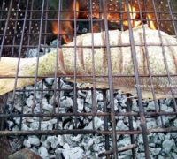 20200223 Silwervis op die kole Koos van der Merwe 2 F