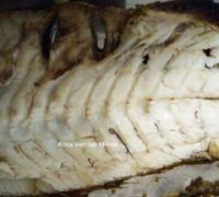 20200223 Silwervis op die kole Koos van der Merwe 5 F