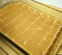 elaine se fudge reg