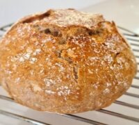 bruin artisan brood reg
