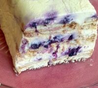 blueberry ice cream cake 2 reg